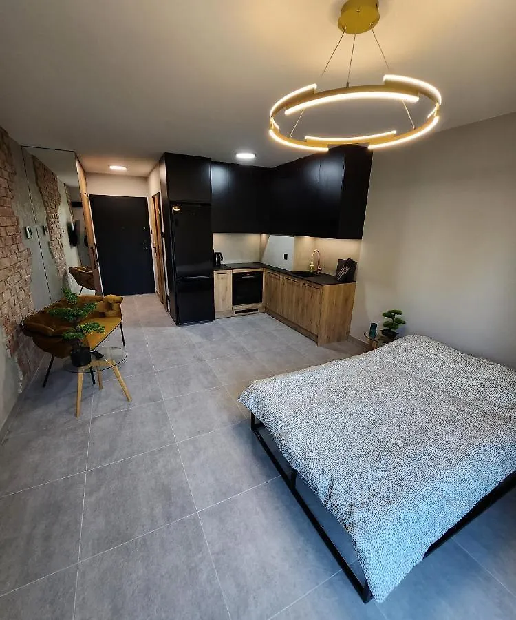 Przystan Nad Wisla Gym,Pool And Spa Free Parking Krakau